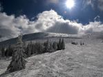 Jasna, Chopok<p>Ślady na śniegu zdradzają obecność tysięcy narciarzy każdego dnia sezonu narciarskiego.<p>
