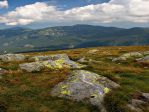 Jasna Niskie Tatry<p>Przepiękne polany wmalowują się górski krajobraz upiększając go i dodając mu wdzięku.<p>